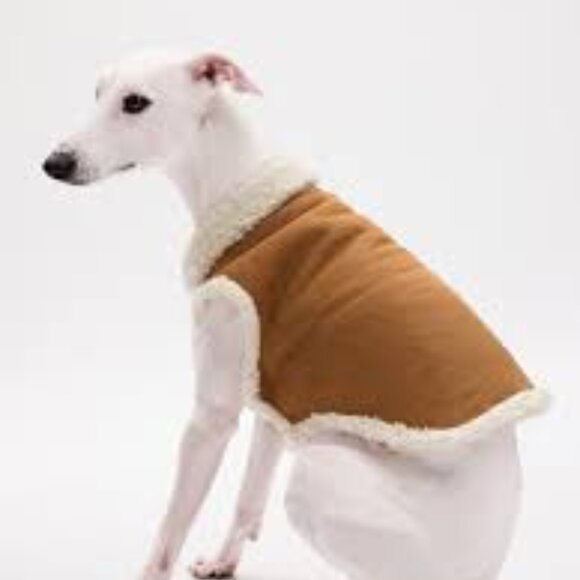 Gap Vegan Shearling Coat Size Medium for Dogs - Picture 2 of 6